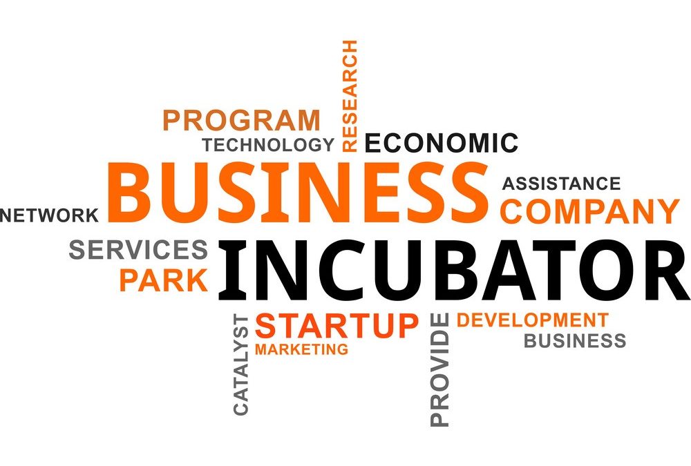 Top 10 business incubators in the Arab world