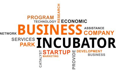 Top 10 business incubators in the Arab world